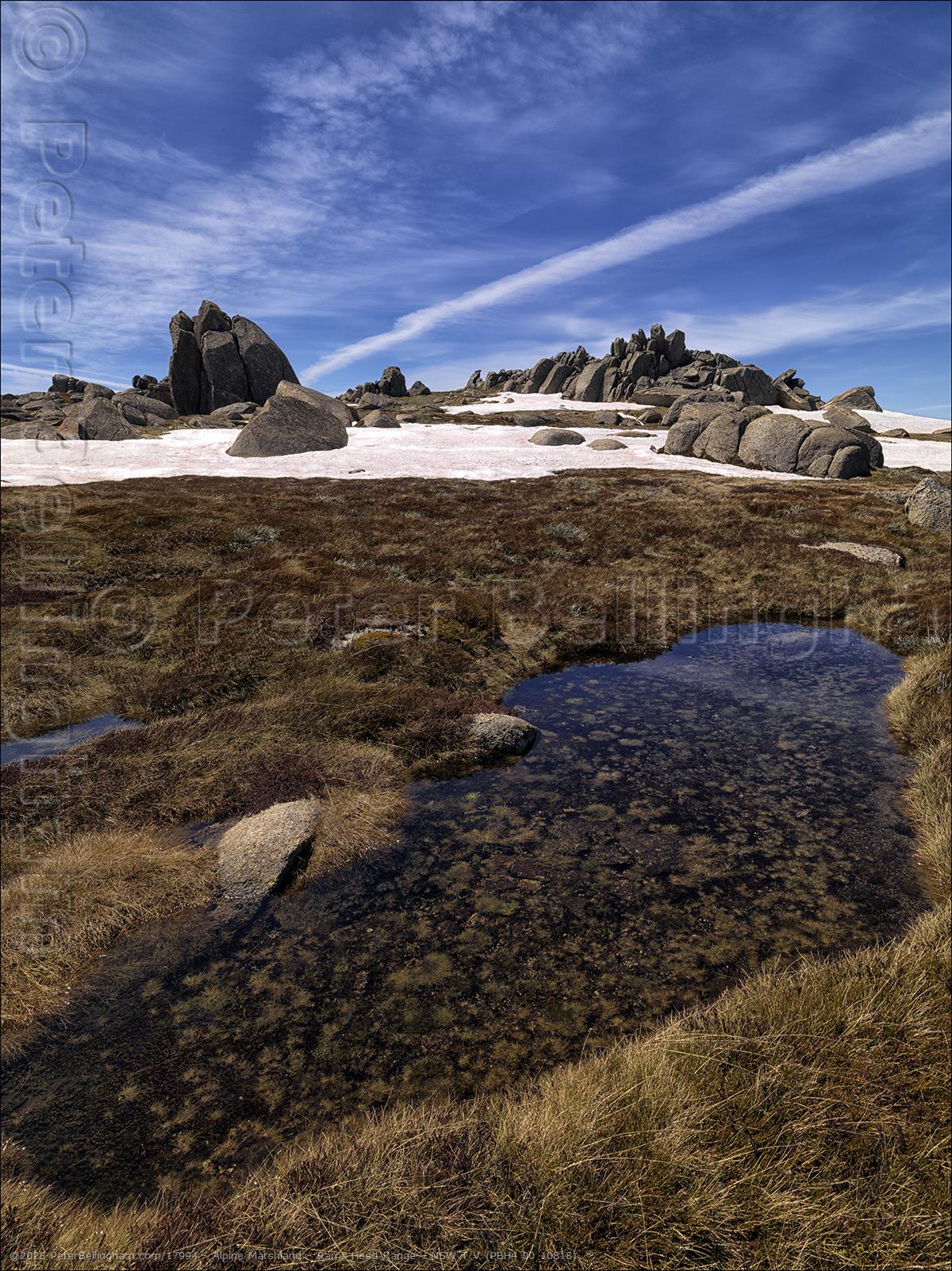 Peter Bellingham Photography Alpine Marshland - Rams Head Range - NSW T V (PBH4 00 10818)